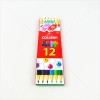 COLLEEN สีไม้ยาว 2 หัว 12 สี #787 <1/24>